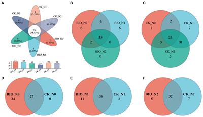 Interactions between halotolerant nitrogen-fixing bacteria and arbuscular mycorrhizal fungi under saline stress